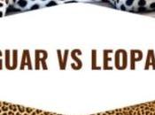Difference Between Jaguar Leopard Honest Comparisons