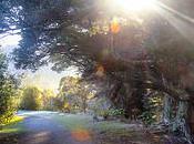 Ohakune Walkway Walk Прогулка Охакуне IMG_2005-Edit [Flickr]