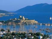 Diamond Rough: Delights Turkey