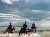 Mongol Derby: World's Longest Horse Race Underway