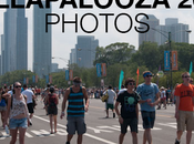 Lollapalooza 2012 Photos