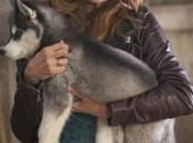 True Blood’s Dale Dickey Mrs. Davis Iron