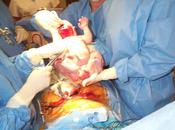 Choose Planned -Section