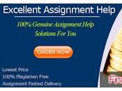 Hire Online Finance Essay Writing Help Experts Your Assignments Solutions Affordable Prices