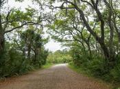 Half Hike Pinckney Island Hilton Head