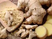 Ginger (Zingiber Officinale) Medicinal Properties Health Benefits