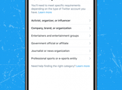 Twitter Rolls Credible Verification Application Process