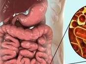 Dysentery (Parvahika)