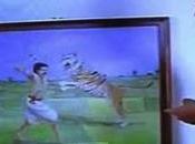 Cheetah Back India Popular Matchbox Home