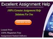 Need Help With Assignment Adelaide, Hire Cryptography Writers Australia