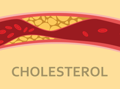 Ayurvedic Treatment High Cholesterol Causes, Symptoms, Herbs, Diet Lifestyle