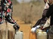 Global Europe: €79.5 Billion Support Development