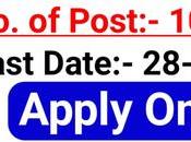 IBPS Recruitment 2021 Apply Online 10676 Vacancy Bank