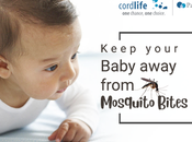 Keep Your Baby Away From Mosquito Bites