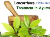 Herbal Remedies Leucorrhoea (White Discharge)