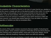 Snakebite: Characteristics, Causes Treatment