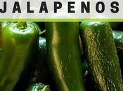 Grow Jalapenos From Fresh Seeds Jalapeno Fiery Thick Walled Peppers Long Inches Wide With Rounded Tips Dark Stuffed Pepper Space Plants About Apart, with 2...