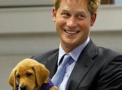 Prince Harry Naked Pictures: Privacy Press