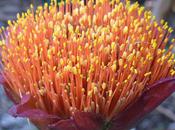 Yes, Spring Definitely Sprung