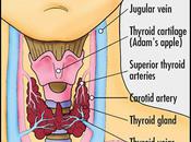 Thyroid Health Program: Part