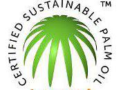 Trademark Marks Turning Point Sustainable Palm