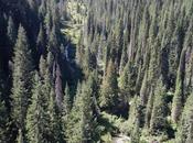 Trail Hiawatha Starts Montana Ends i...