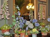 Forever flowers-Vieuxtemps Porcelain!