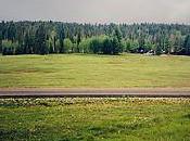 This USA, Russia. North Grand Canyon. Kaibab Forest Remember Correctly. [Flickr]
