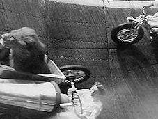 1930s, Daredevils Would Drive Walls With Lions Passengers