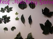 Leaf Matching Game