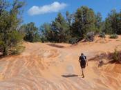 Endurance Stage Race Grand Ultra Begins This Weekend