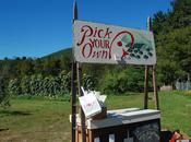 Wilder Musings Pictures: Happy Year Apple Picking