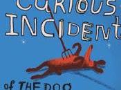 Writing Inspiration: Curious Incident Night-Time