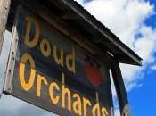 Indiana Apple Orchard: Doud’s Orchard Denver,