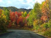 Wordless Wednesday Autumn Park City