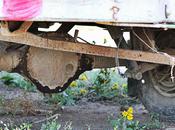 Withering Beauty {23/52}