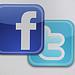 Social Networking: Facebook Twitter?