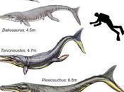 Giant Prehistoric Crocodile Feet Long