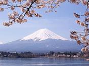 Languages Achievement Japan Schools