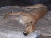 Grey Month: Have TED?