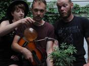 Wing Have Something Everyone [free