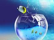 Fish Saved Nasrudin's Life...