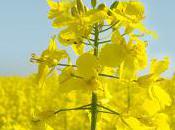 Custodian Book Free Planet Novel Series?