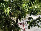 Wear Headphones With Your Running Leggings, Can't Hear Yelling From Autobody Shops Brunt Street