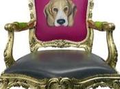 Star Struck Furniture!