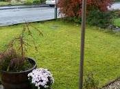 Pondering Pergola Makeover Challenge