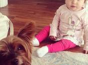 Franke Babysitting Layla This Morning. Damage Thus...