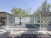 Catch Tree LAND Arquitectos