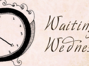 Waiting Wednesday Paper Valentine Brenna Yovanoff