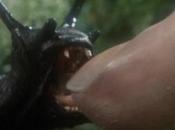 Movie Slugs